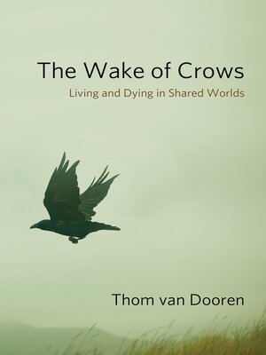 cover image of The Wake of Crows